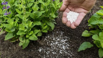 fertilizer-soil-conditioner-small4